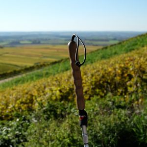 Ein Blindenstock vor einem Weinberg