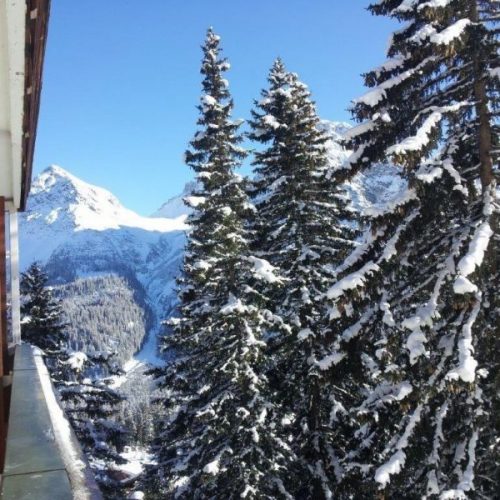 Blick aus dem Hotel auf die verschneiten Bäume und Berge