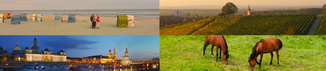 Fotocollage: Nieblumer Strand auf Föhr, Weinberge, Skyline von Dresden und weidendes Pferd