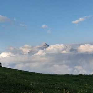 Ein Berggipfel ragt aus dem morgendlichen Nebel