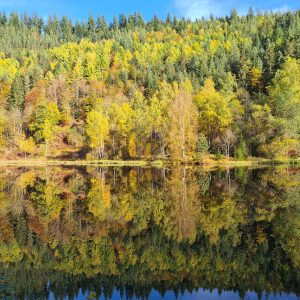 Der Ellbach-See spiegelt den bunt gefärbten Herbstwald auf seiner Wasseroberfläche