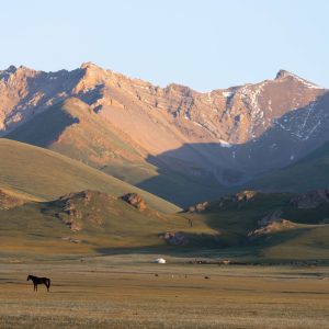 Berglandschaft und grüne Steppe
