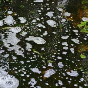 Marienbad - der Stinker, ein nach schwefel riechender Quelltopf. Man sieht auf dem Wasser weiße Gasbläschen