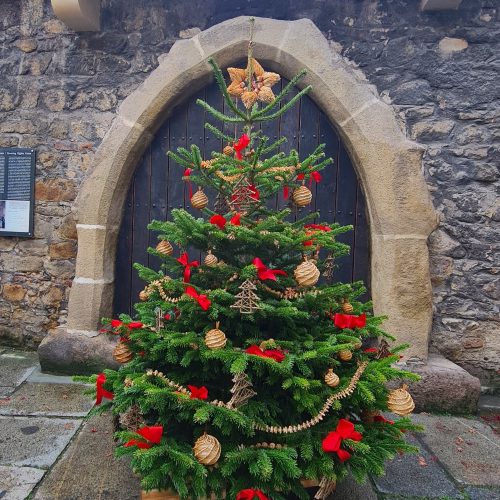 Mit Strohsternen geschmückter Weihnachtsbaum vor einem Gewölbekeller