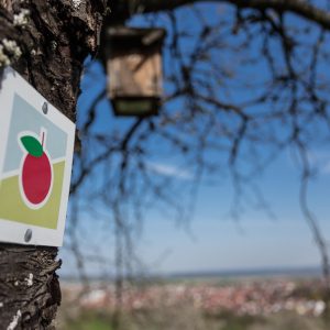 Täfelchen mit Logo des Früchtetraufs