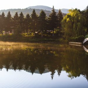 im Vordergrund sieht man eine Brücke über einen Fluss im Hintergrund ein Wäldchen und Berge